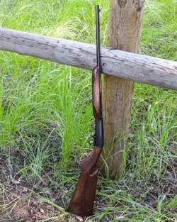 SA-22 semi-auto 22 rifle.