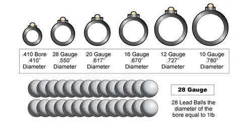 How shotgun gauge sizes are determined.