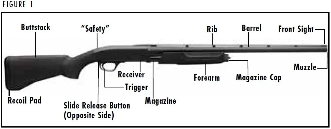 BPS Shotgun Diagram Figure 1