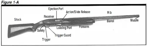 Gold 12 Gauge 3 1/2 Shotgun Figure 1A Diagram