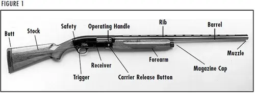 Gold 12 & 20 Gauge Shotgun Figure 1 Diagram