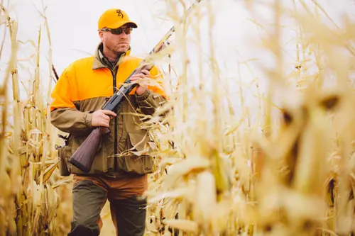 Upland Hunting with Semi-Auto Shotgun