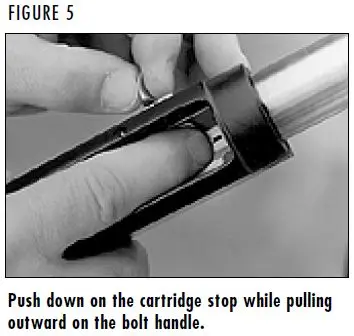 Gold 12 & 20 Gauge Shotgun Removing Bolt Figure 5